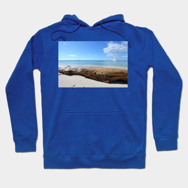 Driftwood on Isla Saona Beach Hoodie by Christine aka stine1